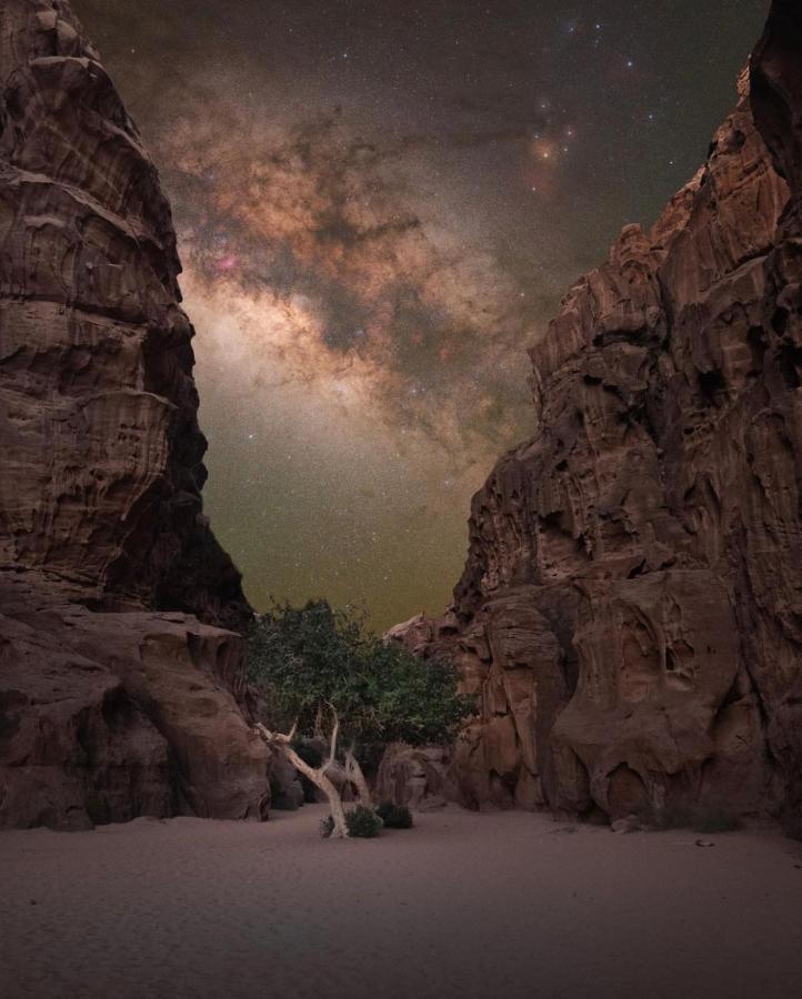 Wadirum Zeid Camp&Tours Wadi Rum Exterior photo
