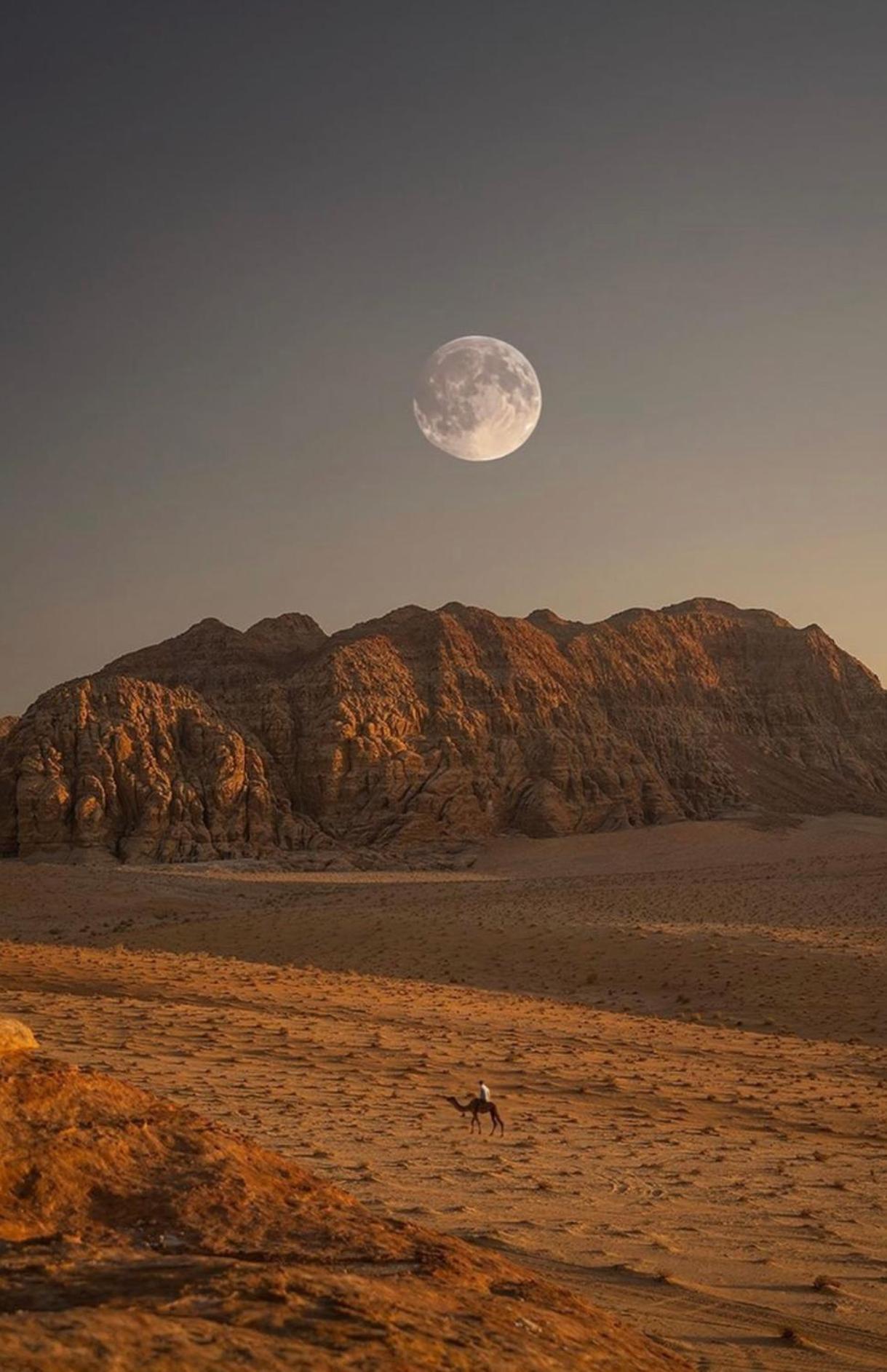 Wadirum Zeid Camp&Tours Wadi Rum Exterior photo